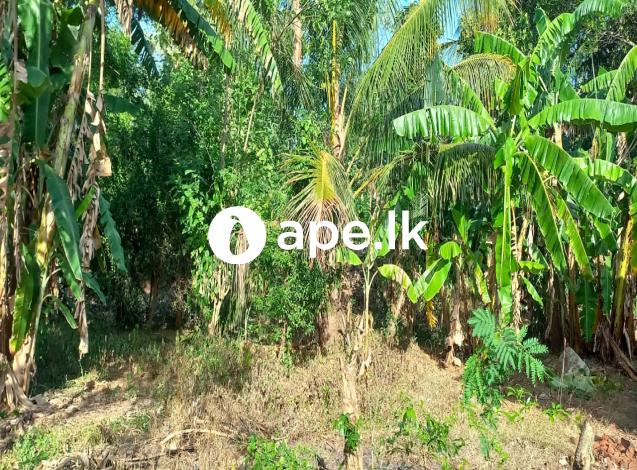 Land for sale abilipitiya